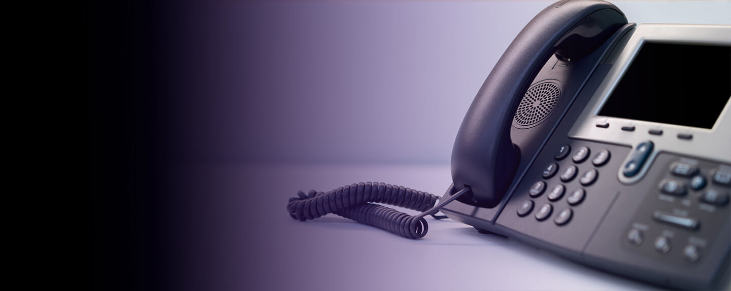 Keep it Simple with <strong>Business Voice</strong>